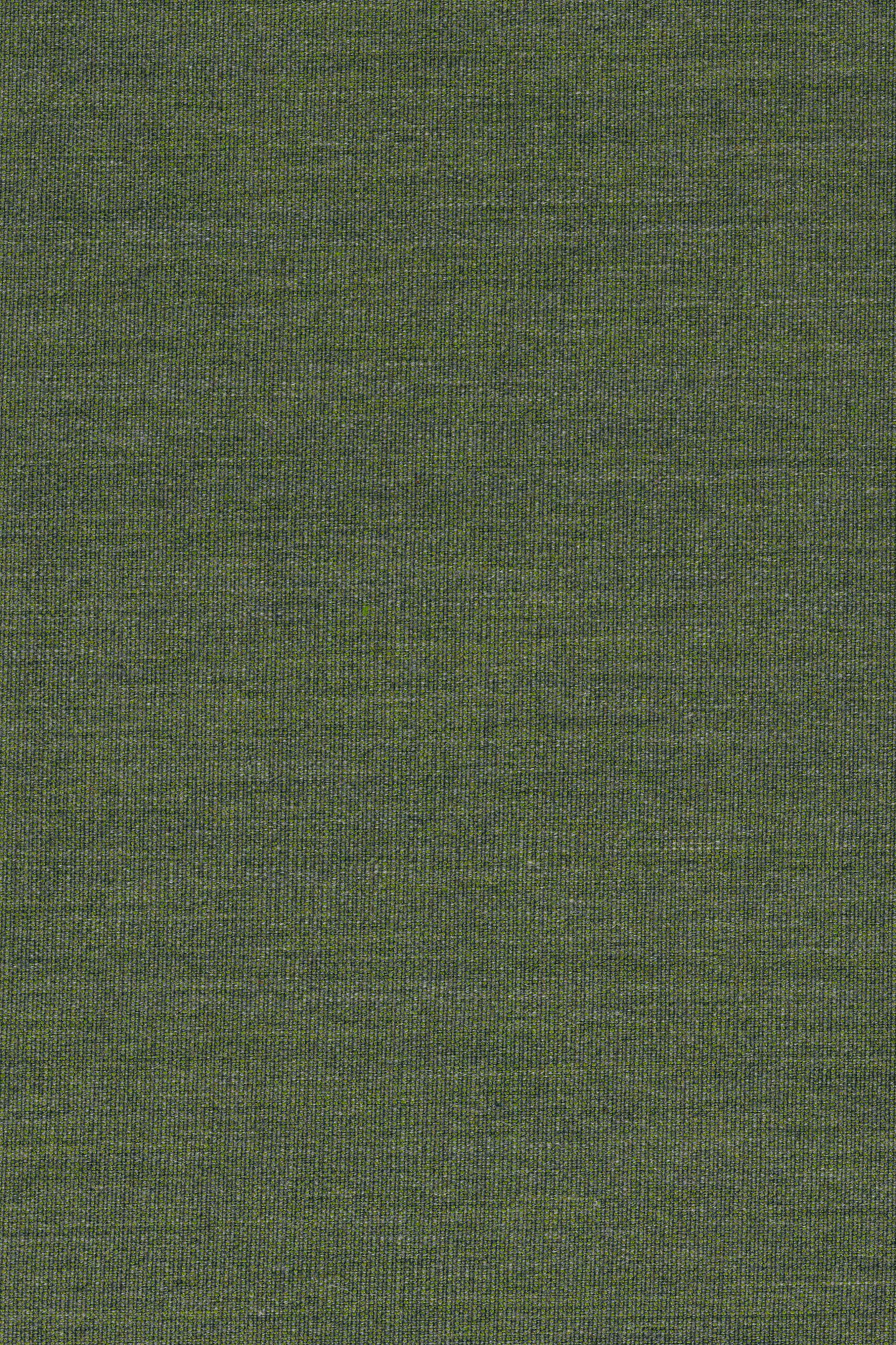 Canvas 1721